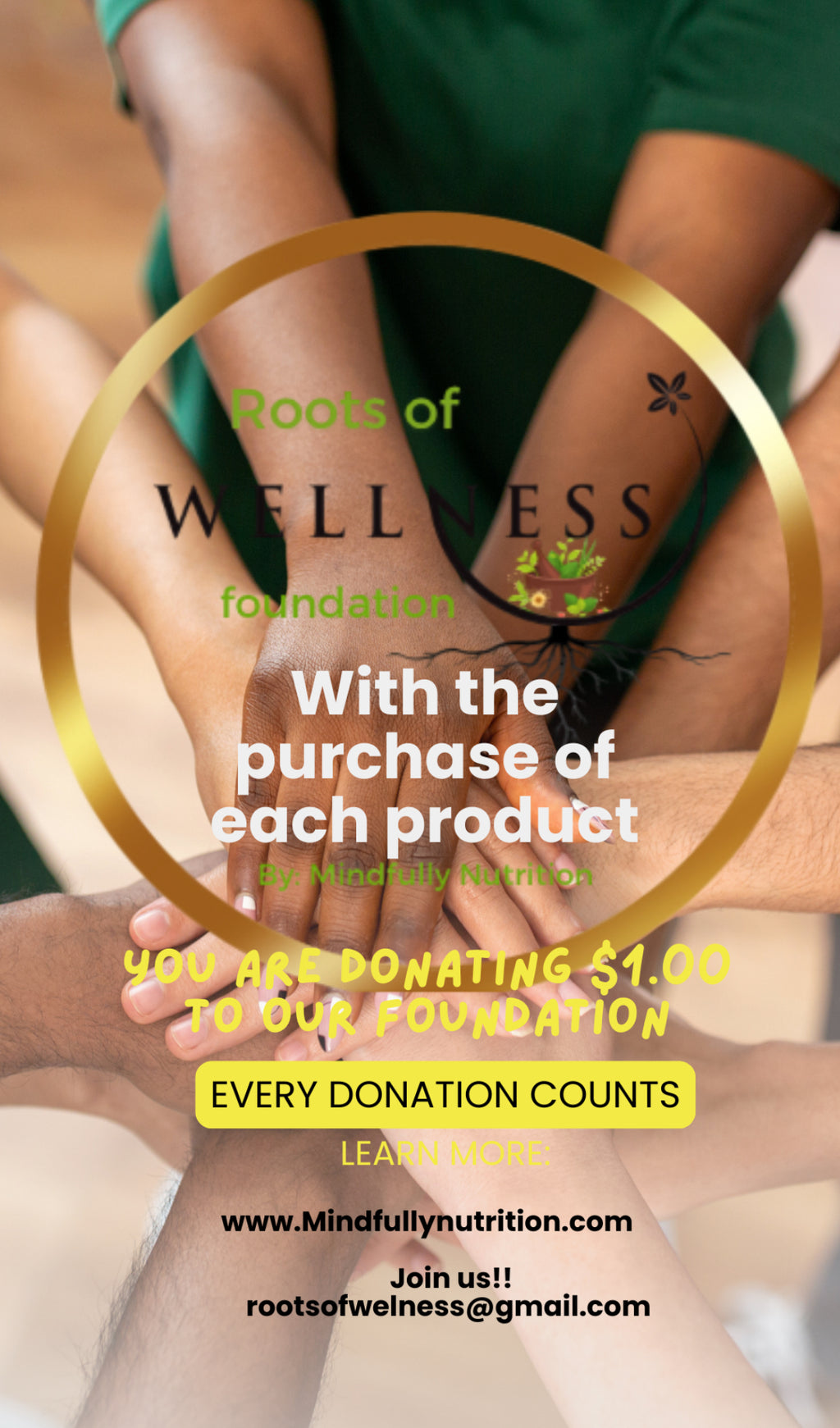 10 Colors Matte liquid Concealer